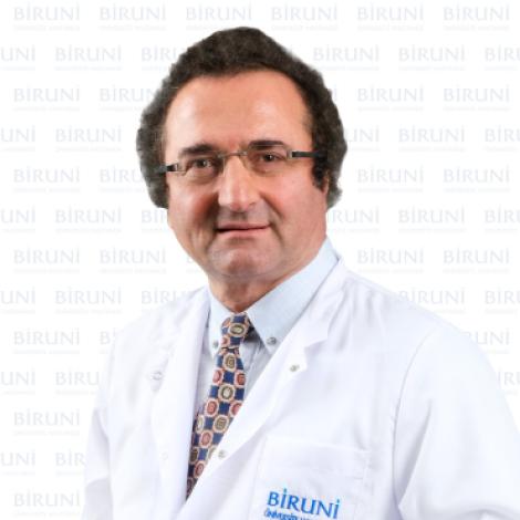 Prof. Dr. Alaattin YILDIZ